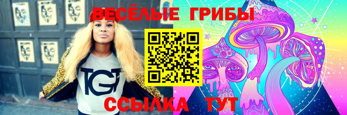 Галлюциногенные грибы мухоморы  Вход с VPN  как найти наркотики  Корсаков  Галлюциногенные грибы ЛСД 